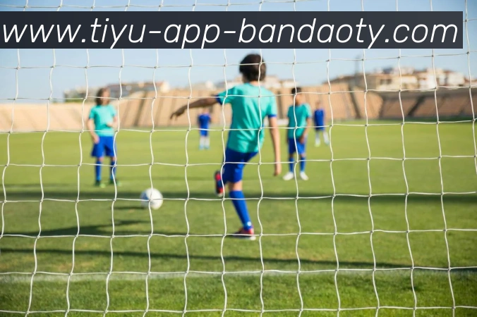 App 展示图